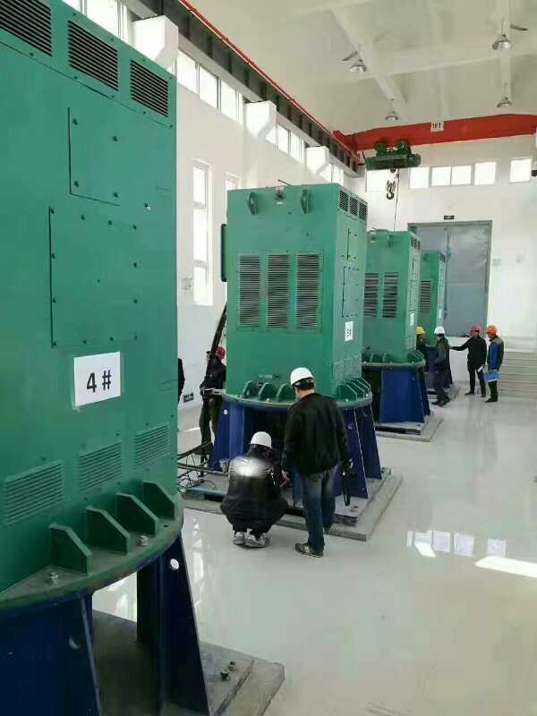 YJTFKK6304-8-1250KW某污水处理厂使用我厂的立式高压电机安装现场