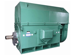 YJTFKK6304-8-1250KWY系列6KV高压电机