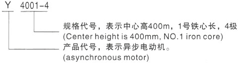 西安泰富西玛Y系列(H355-1000)高压YJTFKK6304-8-1250KW三相异步电机型号说明