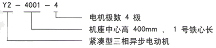 YR系列(H355-1000)高压YJTFKK6304-8-1250KW三相异步电机西安西玛电机型号说明